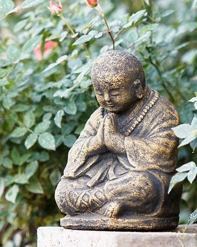Garden Age Supply Shaolin Monk Black Gold Areohome