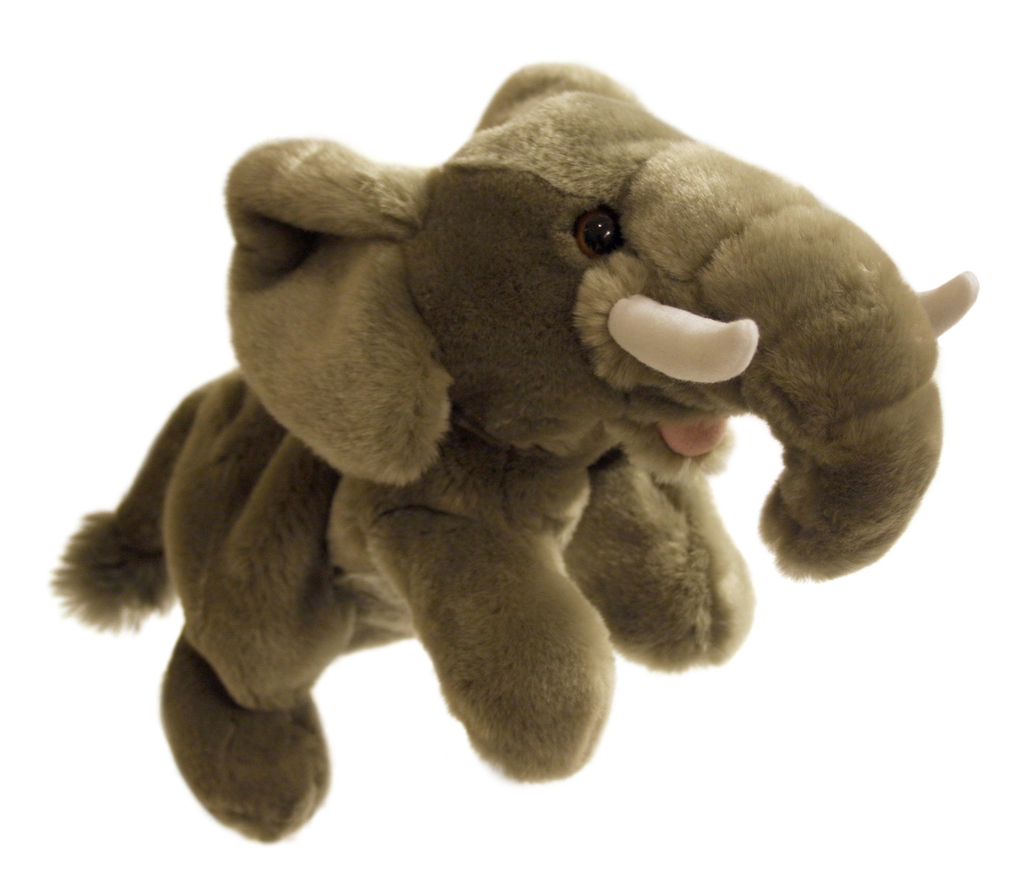 Australia Elephant - Full Bodied