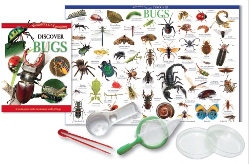 Australia Discover Bugs Tin Set