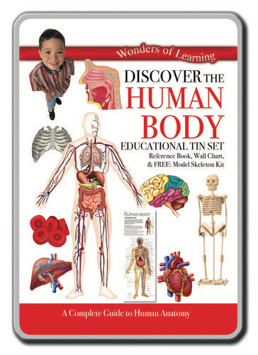 Australia Human Body Tin Set