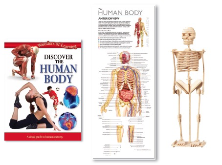 Australia Human Body Tin Set