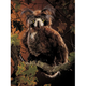 Australia Owl, Great Horned puppet