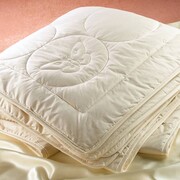 Silk Comforter