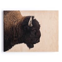 Four Hands American Bison- Maple Box 60" x 40"
