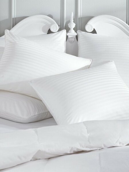 Pillow Protector 100% cotton, 320 TC zippered