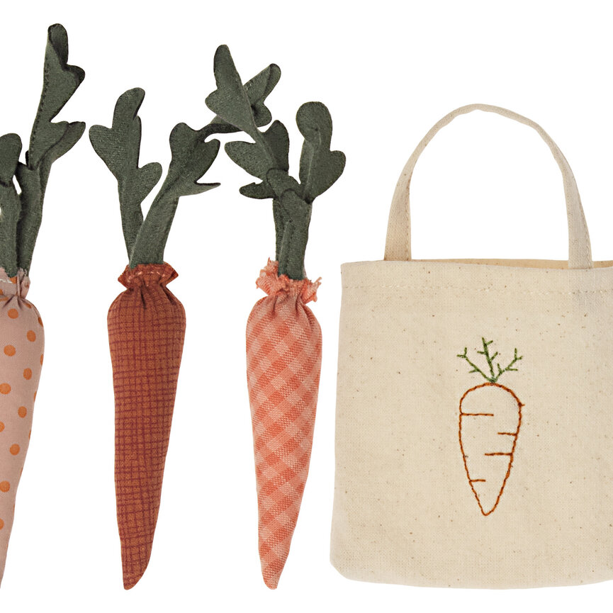 Carrots in shopping bag