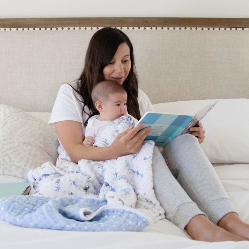 Aden + Anais Dream Blanket