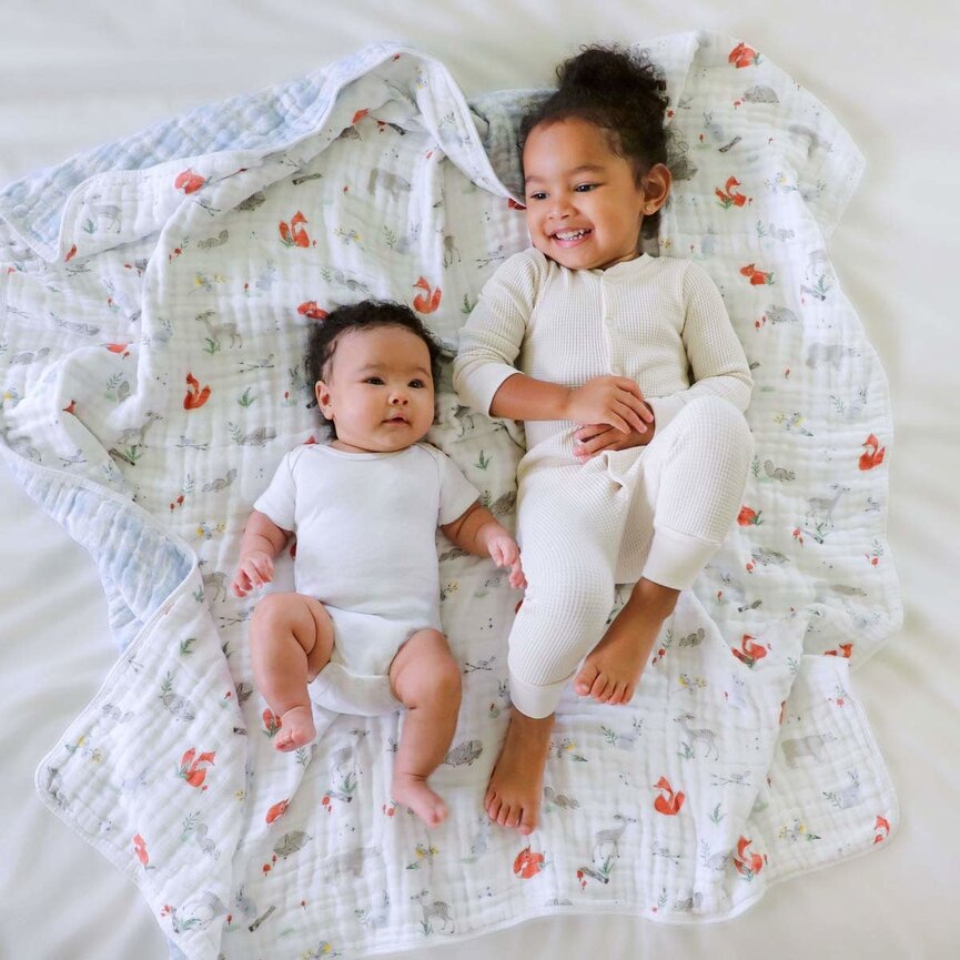 Aden + Anais Dream Blanket