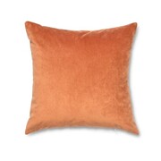 AG Fresco Velvet Pillow