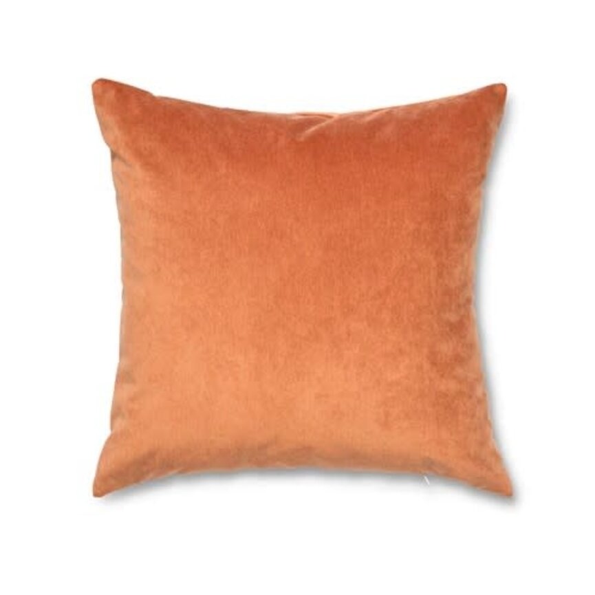 AG Fresco Velvet Pillow