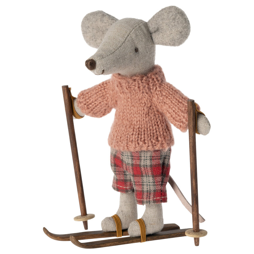 Ski and ski poles, Big sister & Big brother