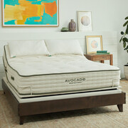 Avocado ECO Adjustable Base