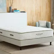 Avocado Foundation with Legs