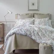 PA Chloe