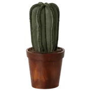 Flower Pot with Cactus, Miniature