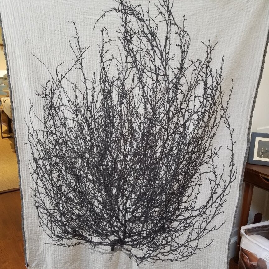 PA Tumbleweed Collection