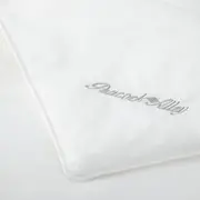 PA Silk Filled Duvet Insert