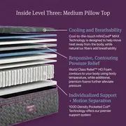 Beautyrest World Class Level 3