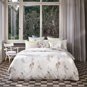 CF Whisper Bedding Collection