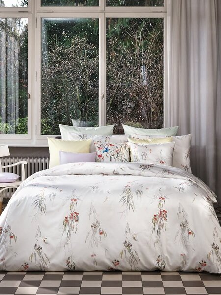 CF Whisper Bedding Collection