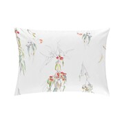 CF Whisper Bedding Collection