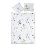 CF Nature Stripe-Fine Stripe Printed