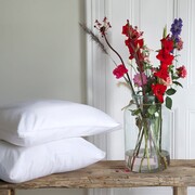 CF Fine Stripe Bedding