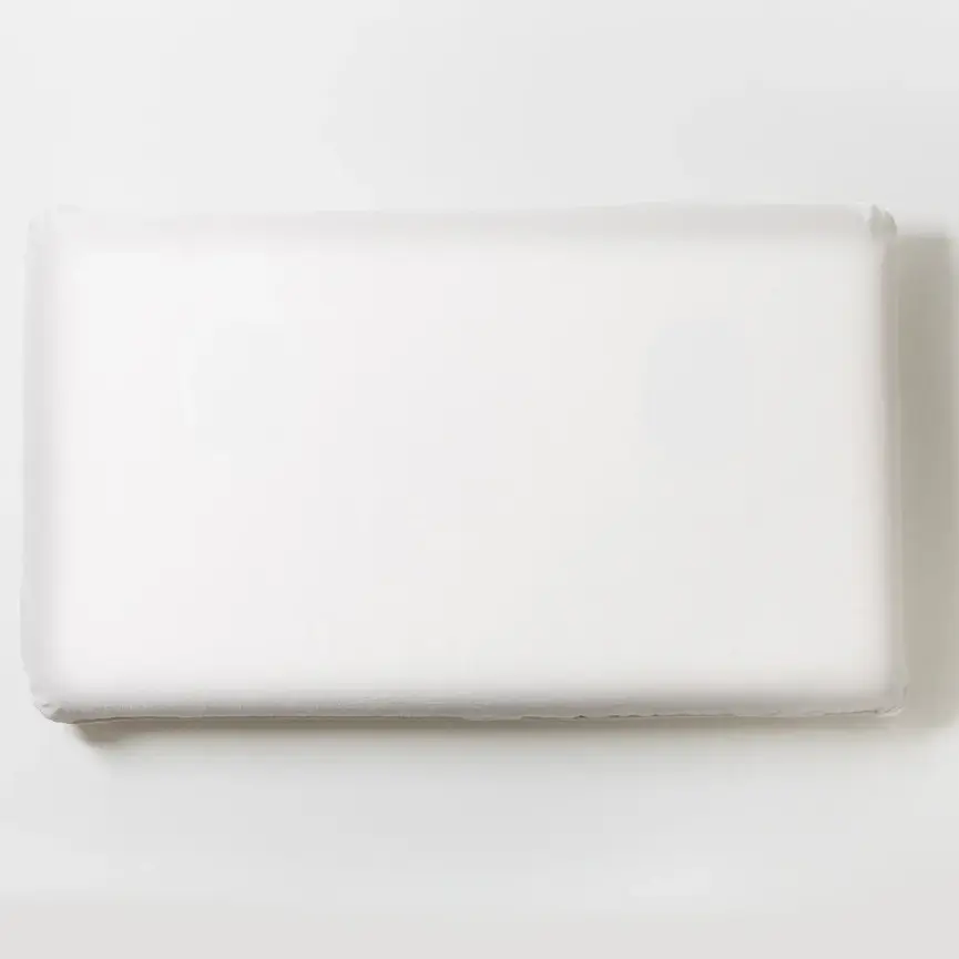 Coyuchi Turiya™ Organic Latex Pillow