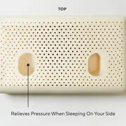 Coyuchi Turiya™ Organic Latex Pillow