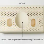 Coyuchi Turiya™ Organic Latex Pillow