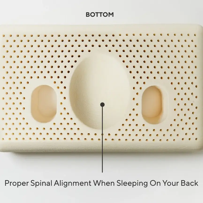 Coyuchi Turiya™ Organic Latex Pillow