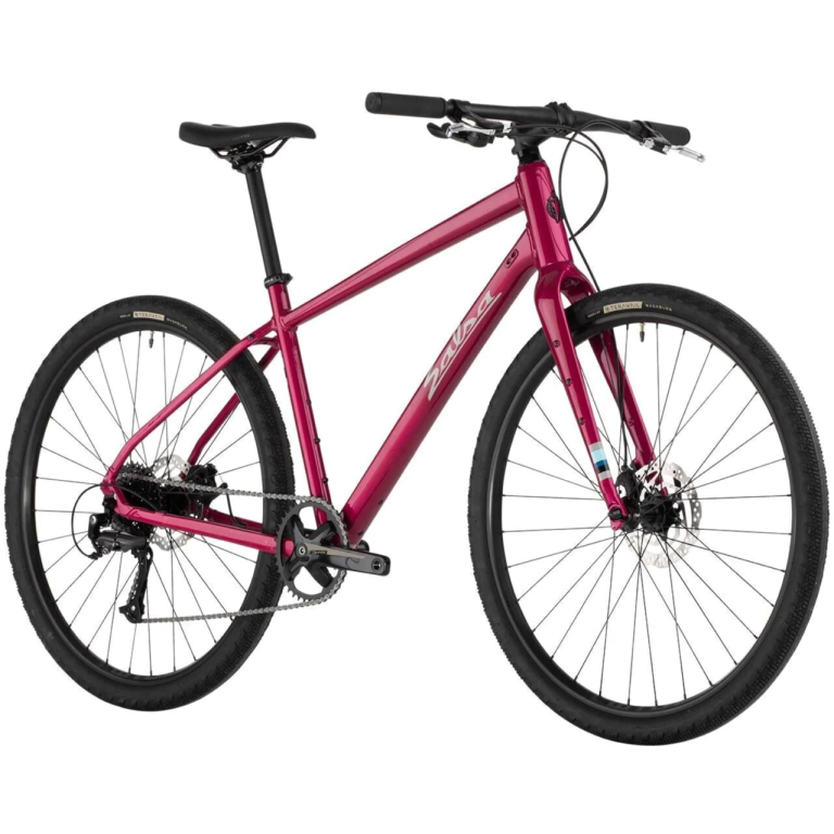 Salsa Salsa Journeyer Flat-Bar Acolyte 650b