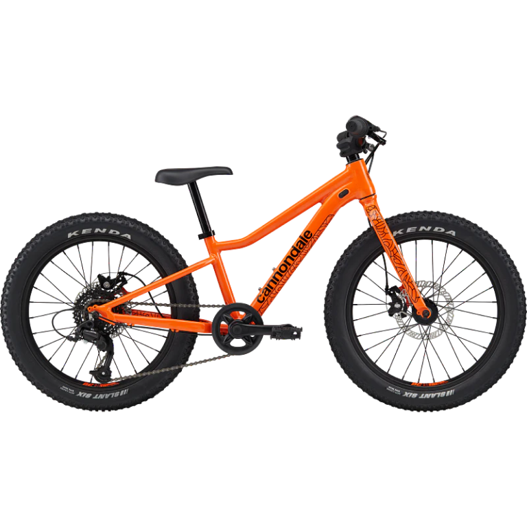 Cannondale Cannondale Kids Trail Plus 20"