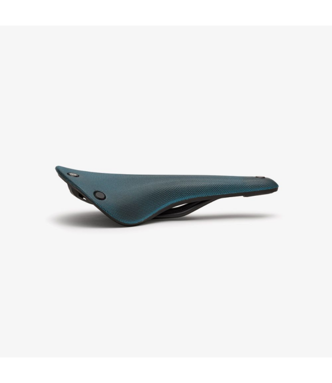 Brooks Cambium C17