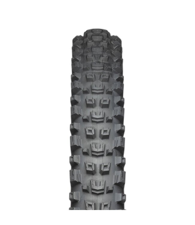 Teravail Warwick Tire - 29 x 2.3, Tubeless, Folding, Tan, Light and Supple, Fast Compound