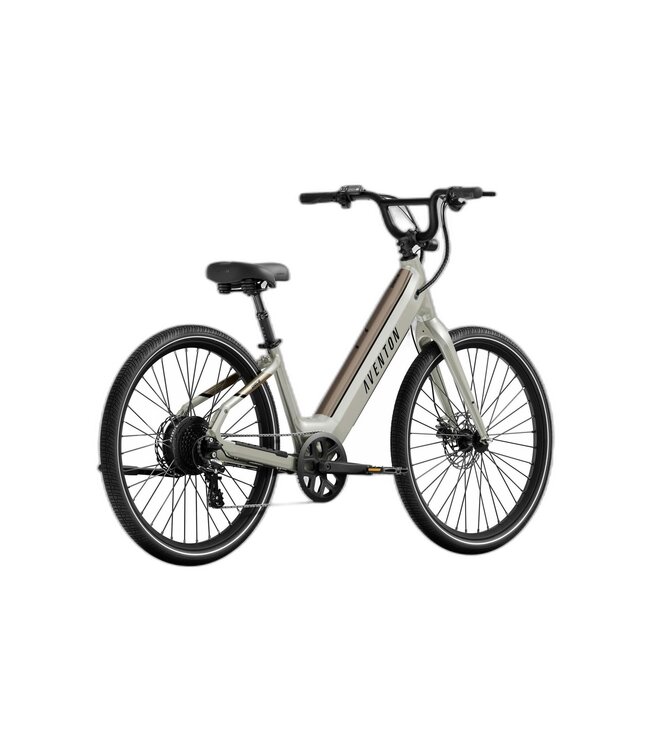 Aventon Aventon Pace 4 S/T Mica (Grey)