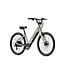 Aventon Pace 4 S/T Mica (Grey)