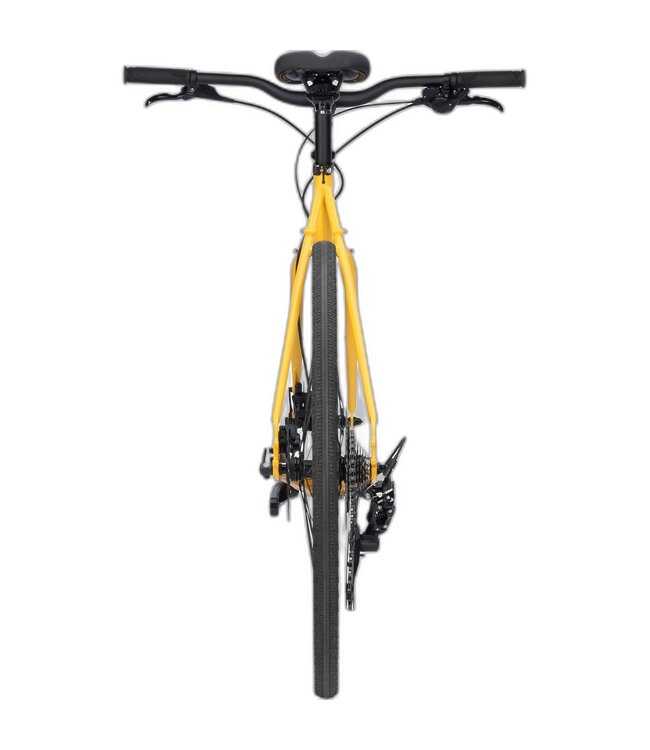 Surly Preamble FB Milky Lemonade