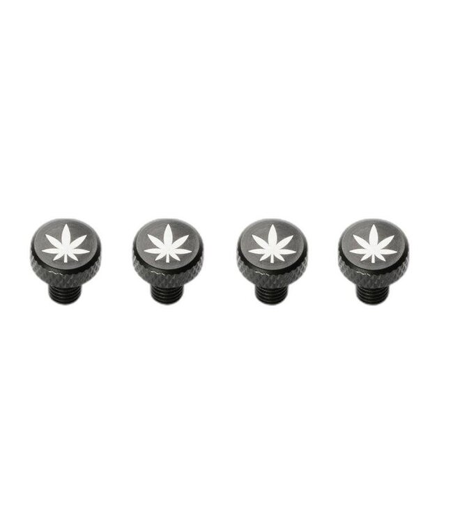 Portland Design Works PDW Zit Bitz Frame Bolts