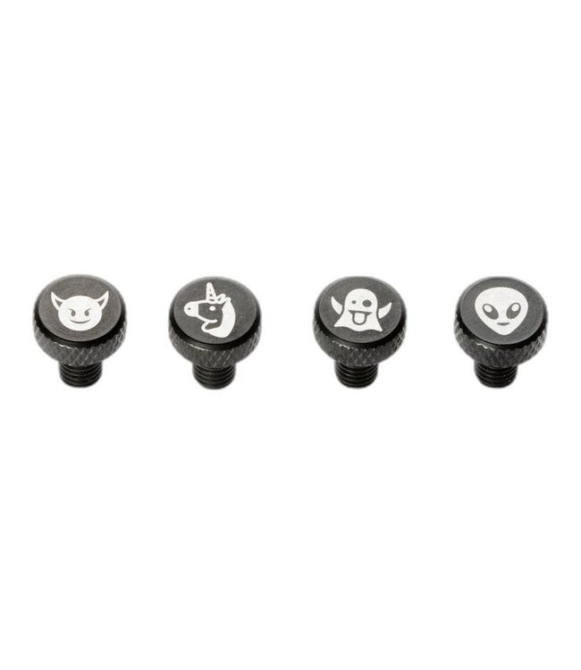 Portland Design Works PDW Zit Bitz Frame Bolts