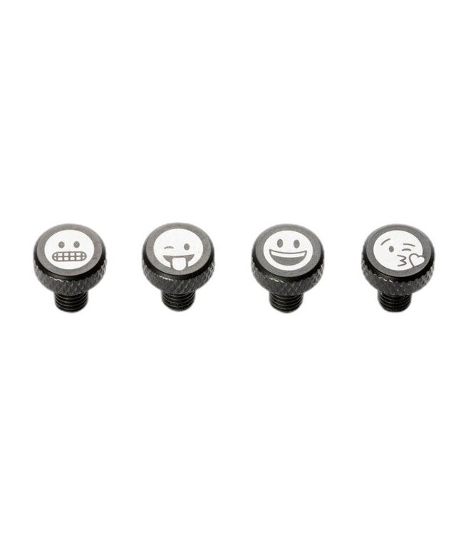 Portland Design Works PDW Zit Bitz Frame Bolts