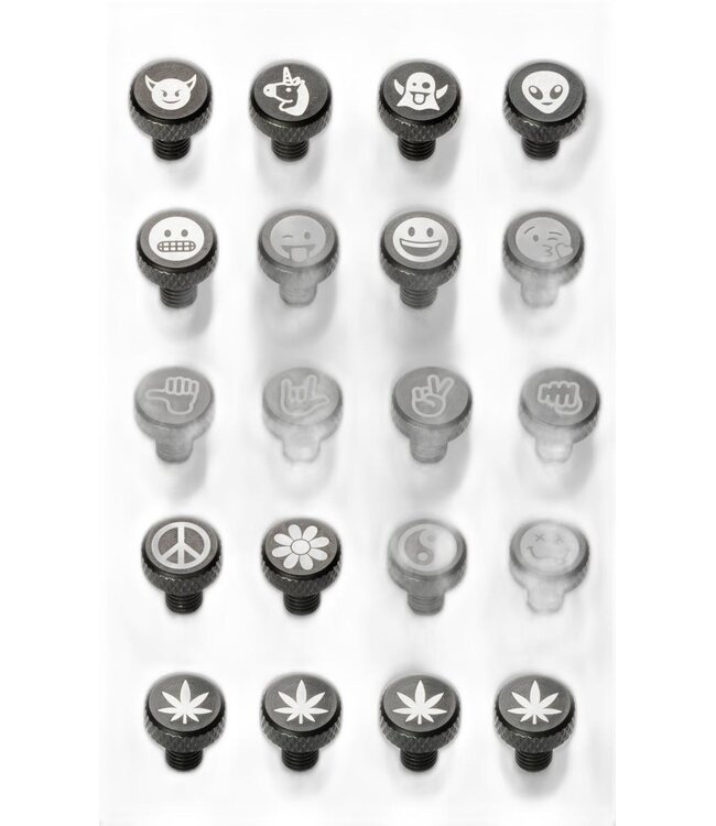 Portland Design Works Zit Bitz Frame Bolts