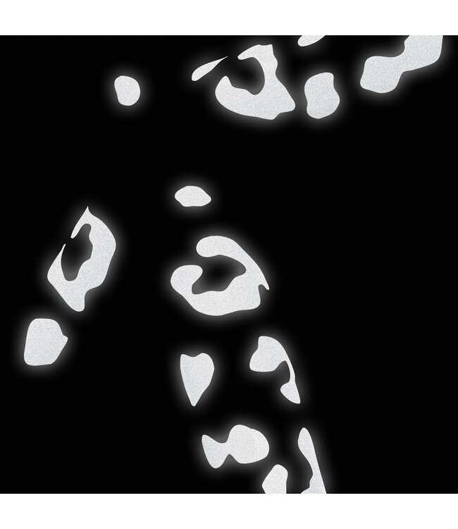 Bookman Visibility Reflective Stickers, Leopard