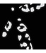 Bookman Visibility Reflective Stickers, Leopard