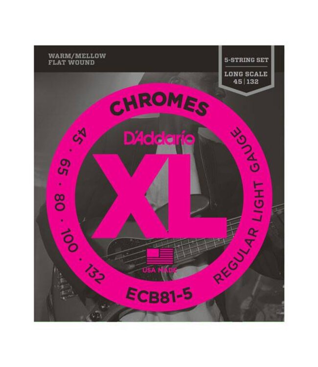 D'Addario ECB81-5 5-String Bass Guitar Strings, Light, 45-132, Long Scale