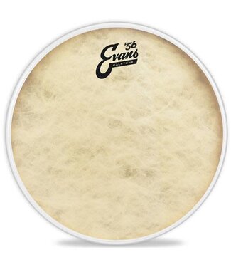 Evans Evans 10" Calftone Drum Head