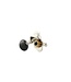 Allparts Allparts TK-7972-001 Grover Geared Ukulele Keys Nickel- Set of 4