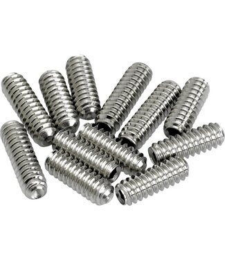 Fender Fender Am Vintage Strat/Tele Bridge Saddle Height Adjustment Screws (12) (Nickel)