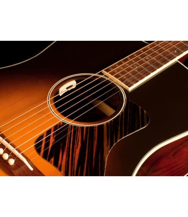 LR Baggs Anthem-SL Acoustic Pick-up