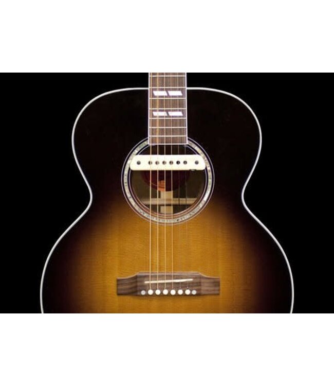 LR Baggs M1 Active Soundhole Magnetic PU